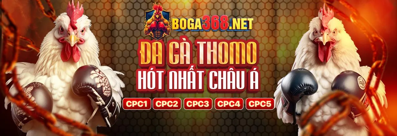 Tầm nhìn và sứ mệnh của mcw818